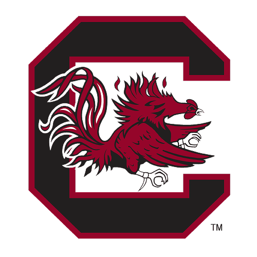 University of South Carolina Collection